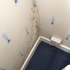 CONDENSATION AND DAMPNESS ADVICE