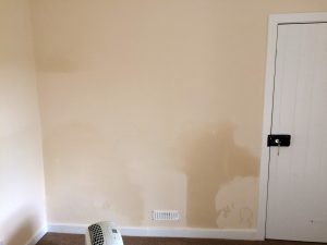 Damp to wall